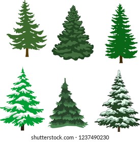 Green Christmas tree on a white background
