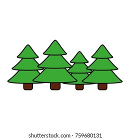 green christmas trees pine decoration traditional holiday