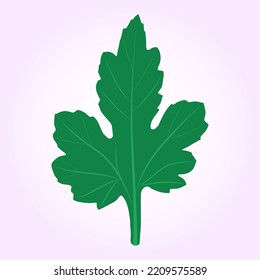 Hojas verdes de crisantemo sobre un fondo rosa claro. 