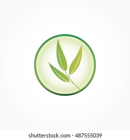 green circle frame with three bamboo leafs in it. natural symbol or logo vector.