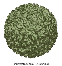 Green circle wave ornament, vector