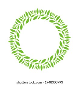 Green circular leaf isolated on white background ,Vector illustration EPS 10