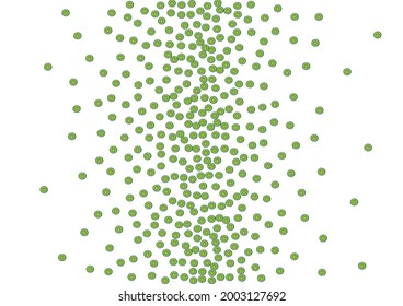 Green Citrus Background White Vector. Lemon Natural Pattern. Juicy Wrapping Citrus. Bright Effect Illustration.