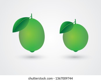 Green citrus or lemon with leaf and different size and shape vector illustration
