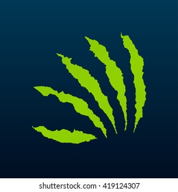 Green claws ripping. Ragged claw marks. Isolated on dark background. Vector illustration.