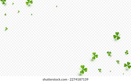 Grüner, glänzender Hintergrund in der Klemme. Helles Shamrock-Urlaubssaal. Fallender Hintergrund. Die Olivenfarbe hinterlässt minimales Design.