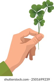 Green clover in hand. A drawing of a green three-leaf clover held in a hand. Trifolium.