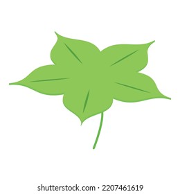 Green clover icon. Isometric of green clover vector icon for web design isolated on white background