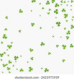 Green Clover Isolated Vector Transparent Background. Malachite Shamrock Falling Illustration. Summer Leaf Backdrop. Olive color Leaves Holiday Template.