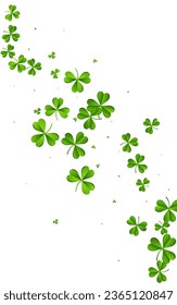 Green Clover Isolated Vector White Background. Bright Shamrock Air Illustration. Saint Patrick Foliage Pattern. Olive color Leaf Stream Backdrop.