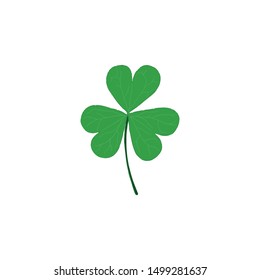 Green clover leaf isolated on white background. Hand drawn vector illustration.