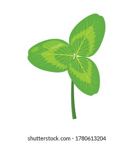 hoja de trébol verde aislada en fondo blanco, ilustración vectorial para fondo natural, signo irlandés, festividad de San Patricio
