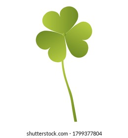 Green clover leaf isolated on white background. This has clipping path.