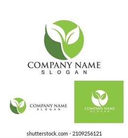 Green Clover Leaf Logo Template Design