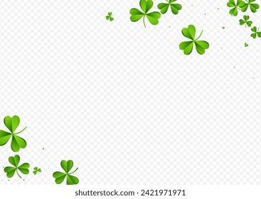 Green Clover Summer Vector Transparent Background. Spring Leaf Fly Illustration. Air Leaves Backdrop. Olive color Foliage Falling Pattern.