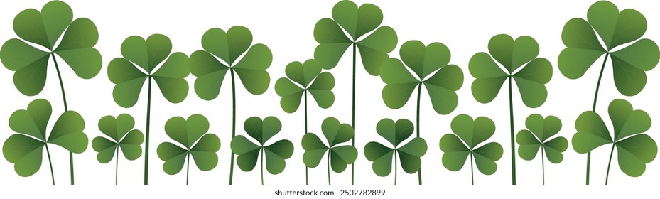 Green clover. Three-leaf clover, plant Trifolium.
