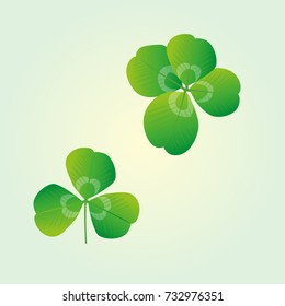 green clover. Vector illustration.