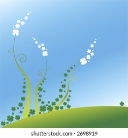 green clovers for St Patricks Day, natural background