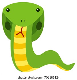 Green cobra on white background illustration
