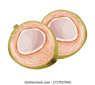Grüne Kokosnuss mit Risse-Schale mit Kopra-Vektorillustration-Illustration