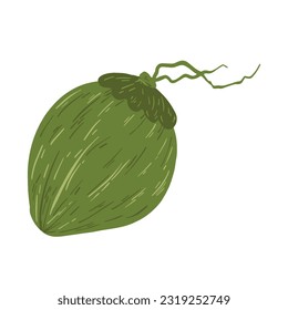 Green Coconut Fruit ,good for graphic design resources, prints, posters, cover books, children books, and more.