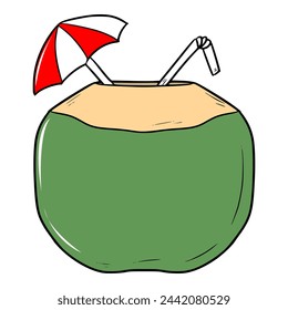 green coconut illustration hand drawn isolated vector