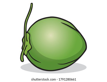 Green Coconut Illustration,isolated On White Background For Education,top View