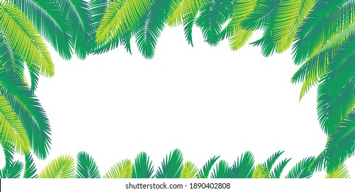 Hojas de coco verdes para fondo.Vector.Ilustración.