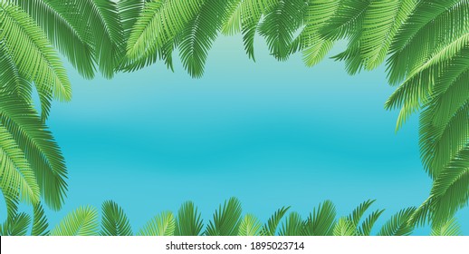 Green coconut leaves for background.Vector.Illustration.