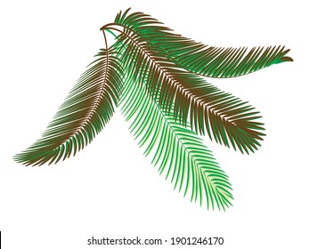 Hojas de coco verdes para fondo.Vector.Ilustración.