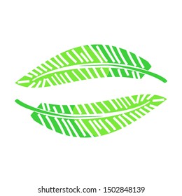 Green coconut leaves with a beautiful pattern of white background. Vector illustration.