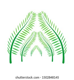 Green coconut leaves with a beautiful pattern of white background. Vector illustration.