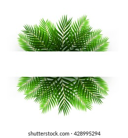 Green coconut leaves floating with text space