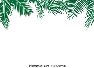 Hojas de coco verdes para marco tropical sobre fondo blanco , Ilustración vectorial.