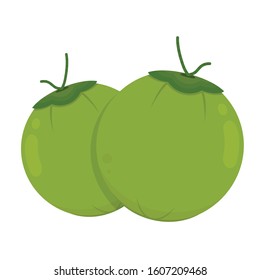 Green Coconut. Coconut logo design. Coconut vector. Coconut on white background.