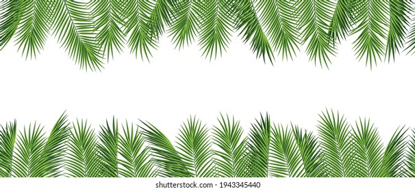 Green coconut palm leaves frame on white background vector illustration. Border for text, banner, poster or card template with coconut or date palm leaves, green tropical foliage exotic plant design.