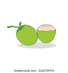 Ilustración del cocotero verde y sorteo de agua de coco fresco. Coco verde joven