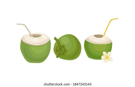 Coco verde con paja como conjunto de vectores de bebida refrescante