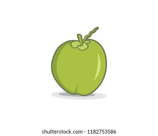 Green coconut template vector illustration