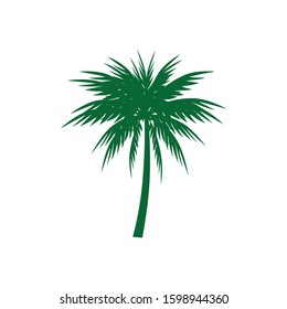 Green coconut tree icon vector. Palm symbol silhouette on white background