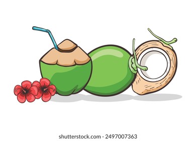 Green coconut tropical fruit with hibiscus flower. Fresh coco water drink cocktail. Whole and half coconut isolated on transparent background.