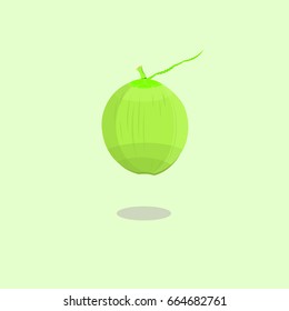 green coconut vector