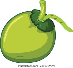 Green Coconut Vector Art illustration