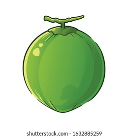green coconut vector. cartoon vector illustration