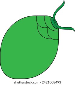 VECTOR DE COCOTERO VERDE EPS 10