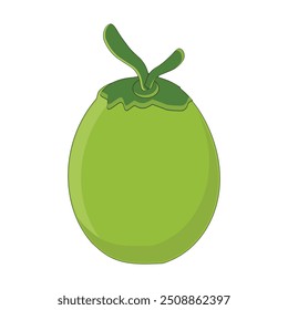 Green coconut vector graphics, Young coconut water icon. Summer coconut cocktail. Vector illustration of tropical exotic fruits in flat style.