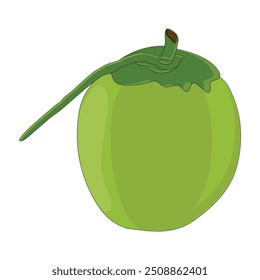 Green coconut vector graphics, Young coconut water icon. Summer coconut cocktail. Vector illustration of tropical exotic fruits in flat style.