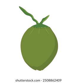 Green coconut vector graphics, Young coconut water icon. Summer coconut cocktail. Vector illustration of tropical exotic fruits in flat style.