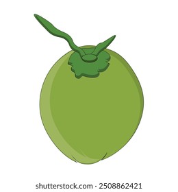 Green coconut vector graphics, Young coconut water icon. Summer coconut cocktail. Vector illustration of tropical exotic fruits in flat style.