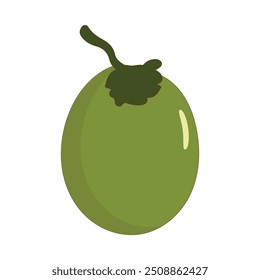 Green coconut vector graphics, Young coconut water icon. Summer coconut cocktail. Vector illustration of tropical exotic fruits in flat style.